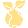 About-icon04